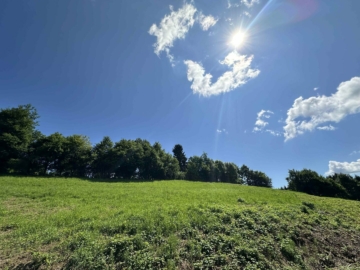 Großes Baugrundstück in idyllischer Lage mit toller Aussicht direkt Am Kaiserberg in Lannach nahe Graz, 8502 Lannach, Grundstück