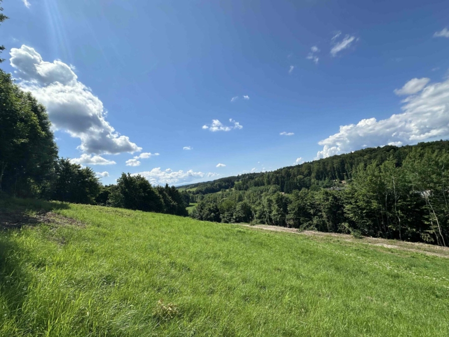 Ideales Grundstück für Einfamilienhäuser mit wunderschönen Weitblick nahe des Grazer Stadtrands am Kaiserbergs in Lannach - Bild