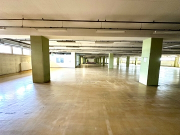 Büro- und Logistikfläche mit rund 21.714 m² zu vermieten – zentral in Graz Puntigam – 1 Monat mietfrei – PROVISIONSFREI, 8055 Graz, Halle/Lager/Produktion