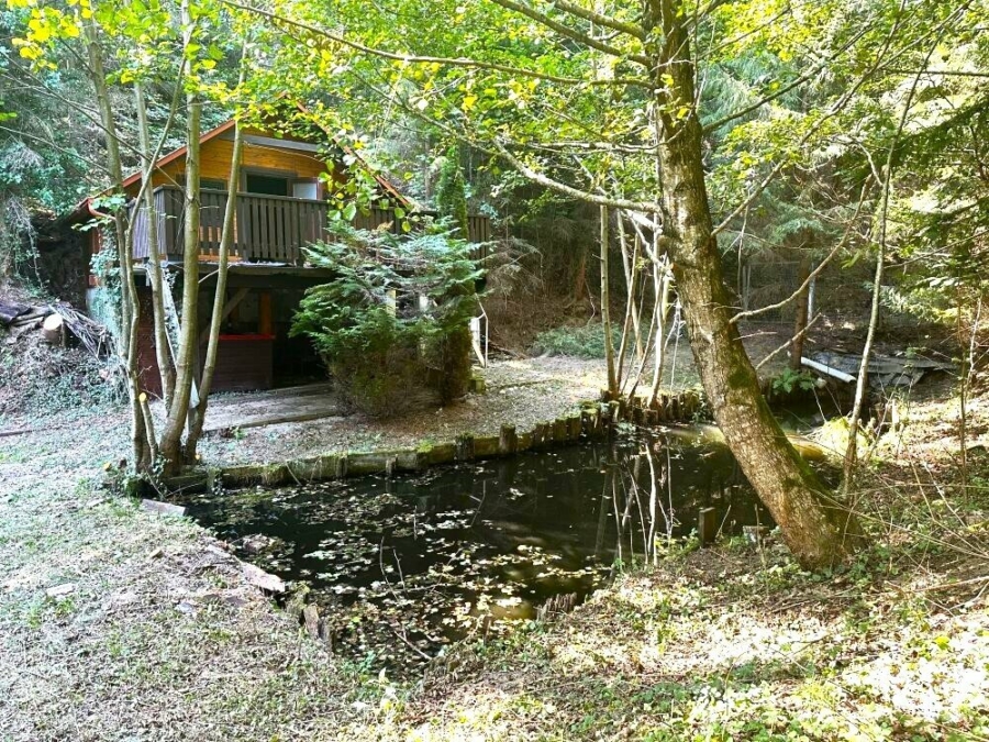 Idyllisches Waldgrundstück mit zwei Fischteichen, Waldhütten, eigener Hangquelle in der grünen Südsteiermark am Kranachberg in Gamlitz - Bild