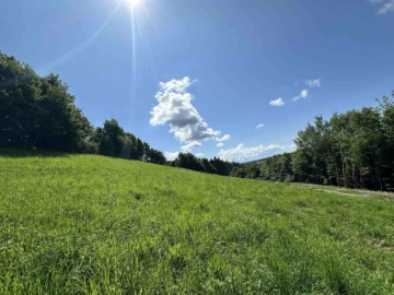 Ideal für große und kleine Bauträger! Tolles Baugrundstück mit beeindruckendem Ausblick nahe des Grazer Stadtrands am Kaiserbergs in Lannach, 8502 Lannach, Grundstück