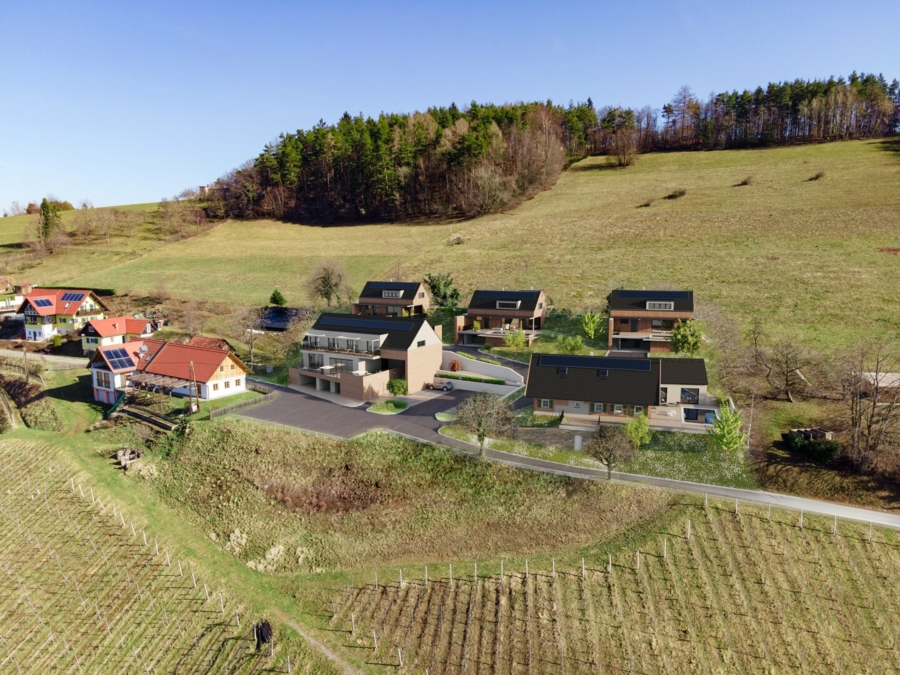 Exklusives Projekt mit touristischer Nutzung, einzigartiger und fantastischen Aussichtslage am Fuße des Demmerkogels in Höch - Bild