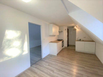 Lichtdurchflutete, sanierte 2-Zimmer-Wohnung in ruhiger Lage im Grazer Bezirk Jakomini, 8010 Graz, Wohnung