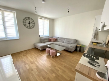 PROVISIONSFREI – Wunderschöne 2-Zimmer-Wohnung in zentraler Lage im Grazer Bezirk Lend, 8020 Graz, Wohnung