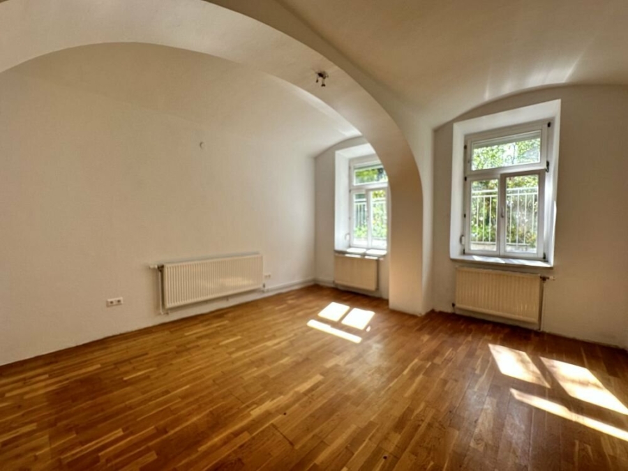 TOP Lage - 3-Zimmer-Altbauohnung mit separater Küche und 138 m² Eigengarten in bester Innenstadtlage - direkt bei der TU Graz - Bild