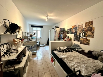 Ideal geschnittene 2-Zimmer-Wohnung direkt bei der Karl-Franzens-Universität in der Heinrichstraße, 8010 Graz, Wohnung