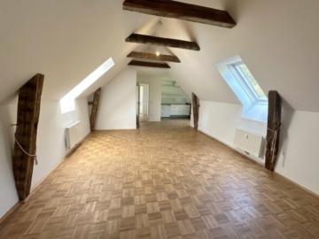 Charmante klimatisierte 2-Zimmer-Wohnung im Herzen der Grazer Altstadt direkt am Karmeliterplatz, am Schloßberg und am Stadtpark, 8010 Graz, Wohnung