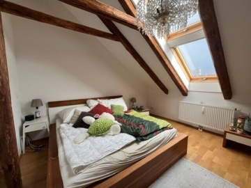 Umfassende sanierte 3-Zimmer-Wohnung in absolut guter und zentraler Lage – direkt bei der TU – Anlegerwohnung, 8010 Graz, Wohnung