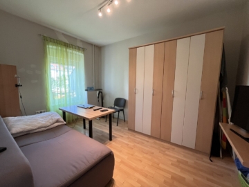 Gut geschnittene 1-Zimmer-Wohnung mit Küche in zentraler Lage zum Schloss Eggenberg & FH Joanneum, 8020 Graz, Wohnung